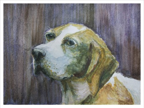 Hond, aquarel 20 x 15 cm.